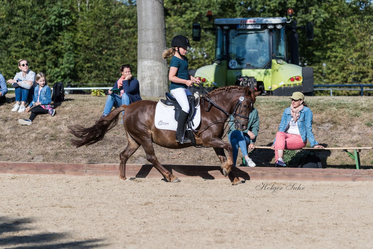 Bild 54 - Pony Akademie Turnier